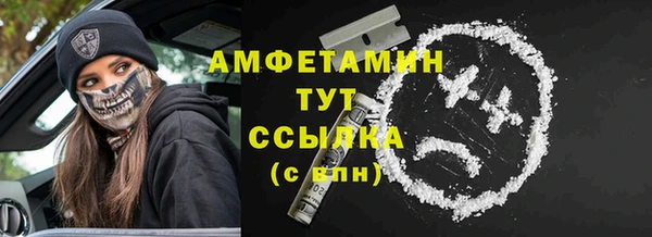 тгк Абаза