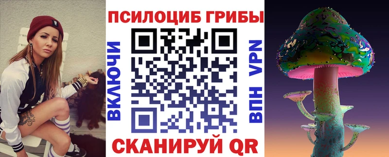 Псилоцибиновые грибы мицелий Пудож