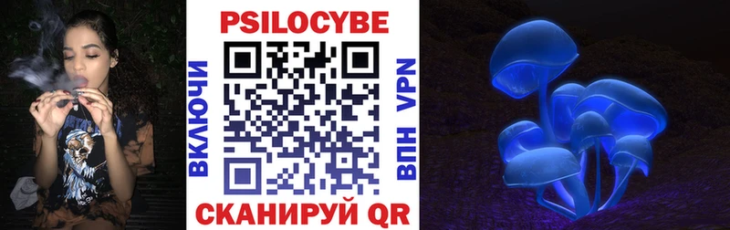 OMG зеркало  Пудож  Псилоцибиновые грибы Cubensis 